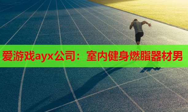 爱游戏ayx公司：室内健身燃脂器材男