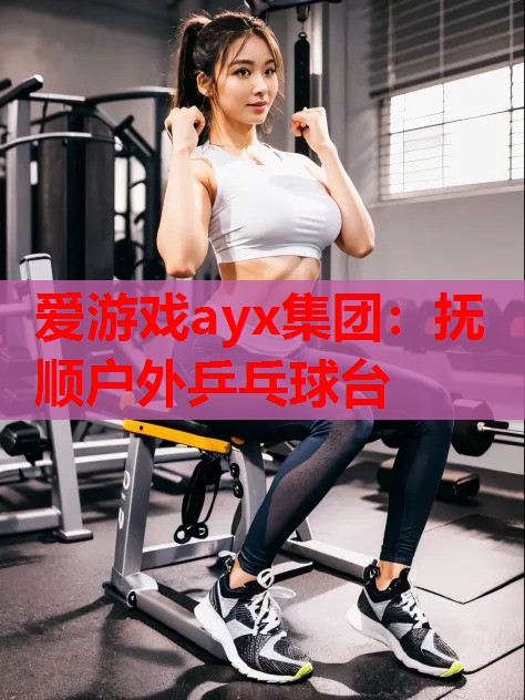 爱游戏ayx集团：抚顺户外乒乓球台