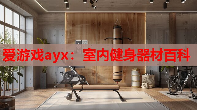 爱游戏ayx：室内健身器材百科