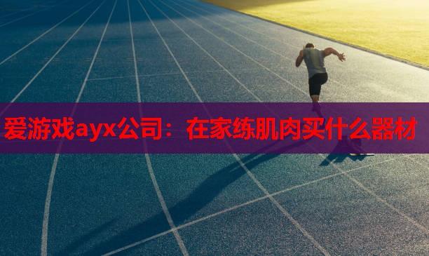 爱游戏ayx公司：在家练肌肉买什么器材