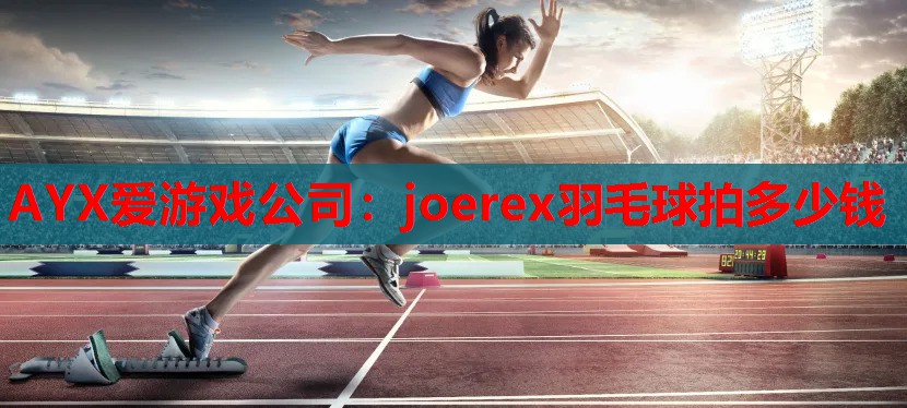 AYX爱游戏公司：joerex羽毛球拍多少钱