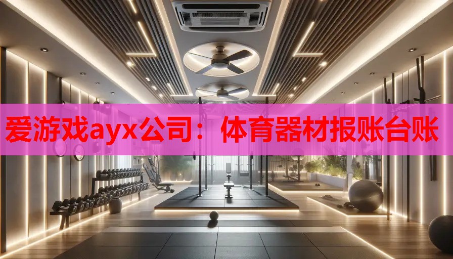 爱游戏ayx公司：体育器材报账台账