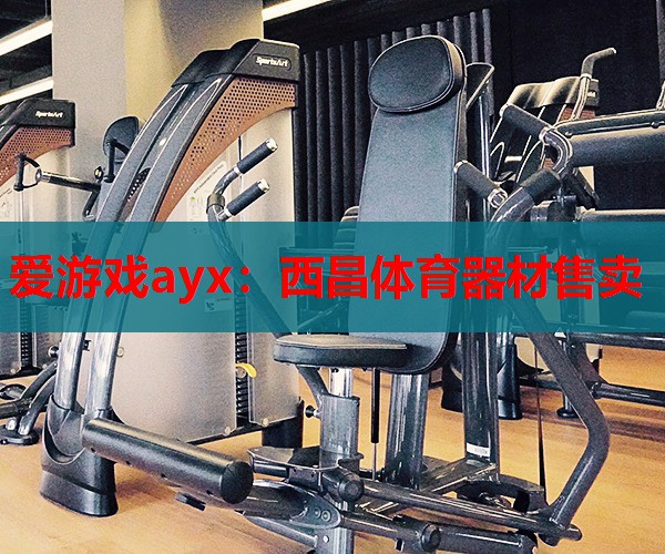 爱游戏ayx：西昌体育器材售卖