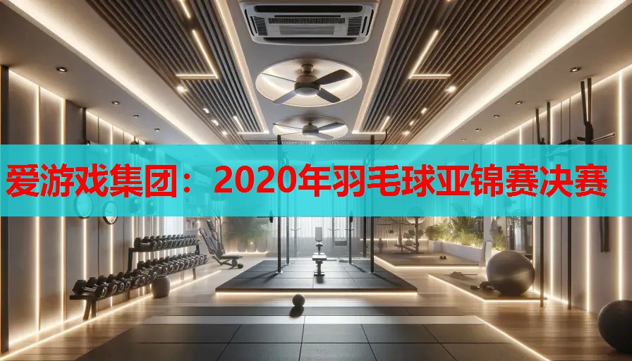 2020年羽毛球亚锦赛决赛