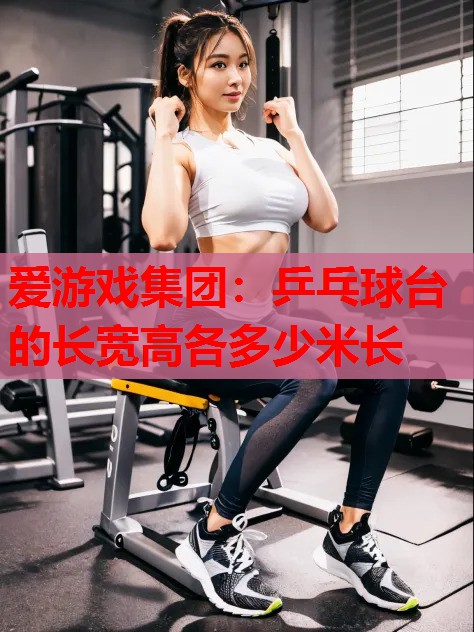 乒乓球台的长宽高各多少米长